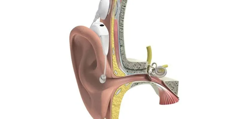 Cấu tạo và nguyên lý làm việc