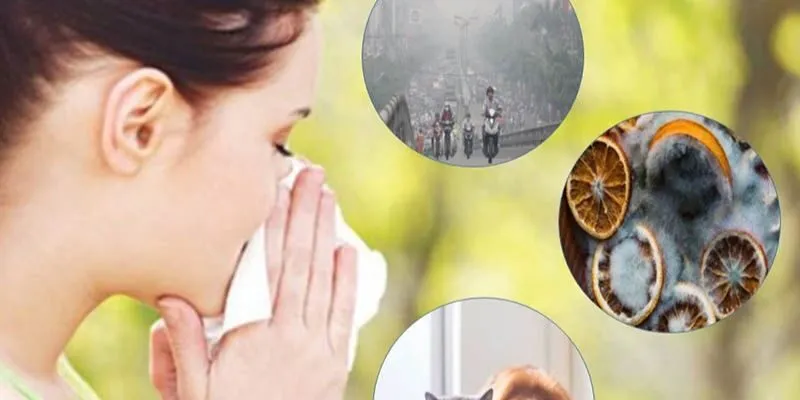 Yếu tố thuận lợi gây viêm mũi dị ứng