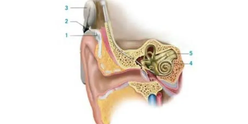 Cấu tạo và nguyên lý làm việc